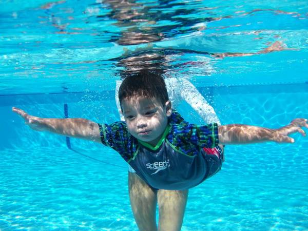 Flechitas Swim School | 21314 NE 19th Ct, Miami, FL 33179, USA | Phone: (305) 336-5951