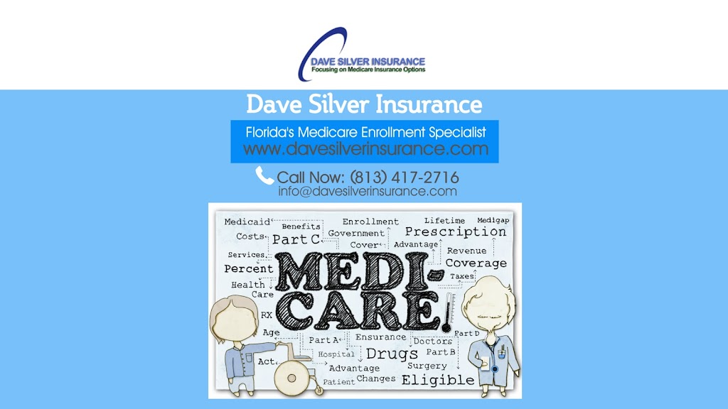 Dave Silver Insurance | 19431 Beacon Park Pl, Bradenton, FL 34202, USA | Phone: (941) 907-2879