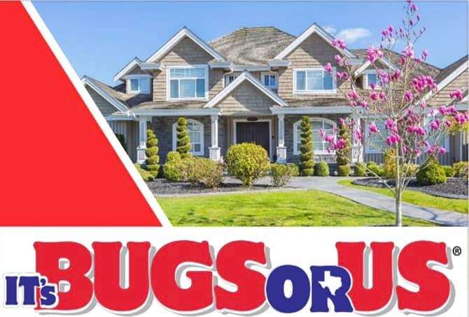 Its Bugs Or Us Pest Control - Joshua | 101 Lone Star St, Joshua, TX 76058, USA | Phone: (817) 302-0279