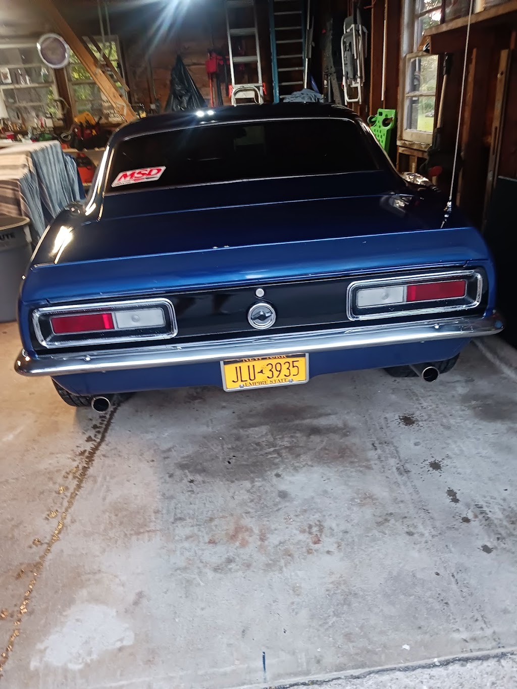 Wild Rides | 10775 Ridge Rd, Medina, NY 14103, USA | Phone: (585) 798-2266