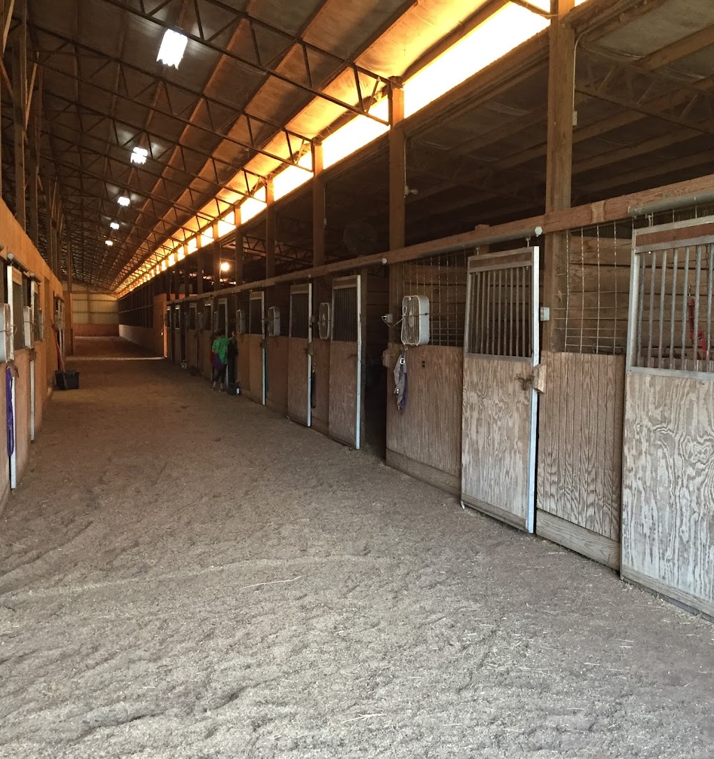 Starlite Stables | 1426 Blair Farm Rd, Odenville, AL 35120, USA | Phone: (205) 790-6792