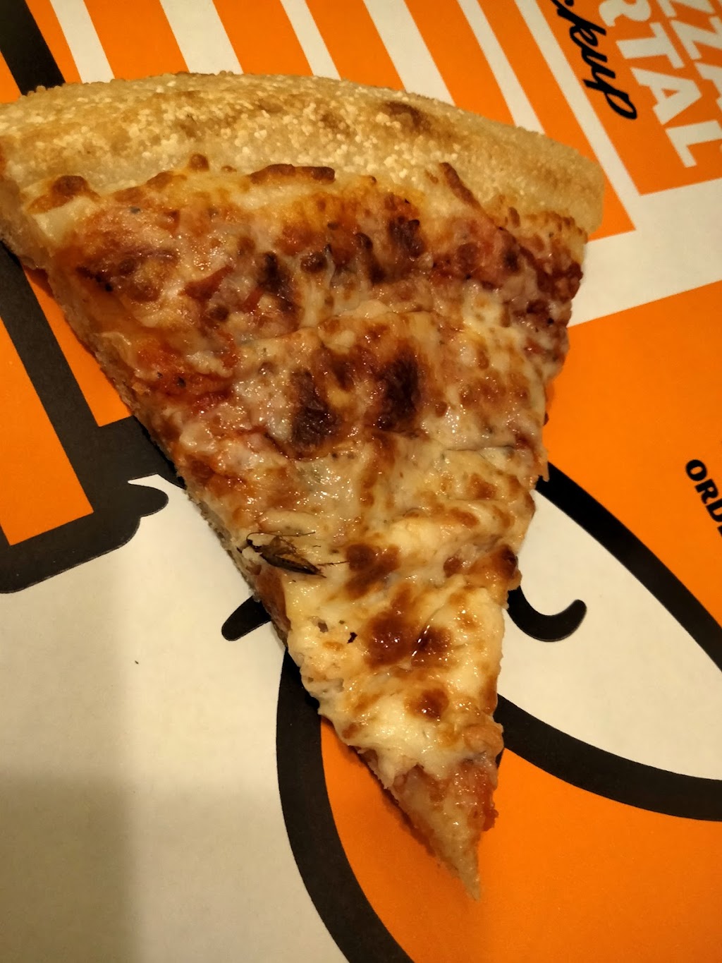 Little Caesars Pizza | 1690 Wells Rd, Orange Park, FL 32073, USA | Phone: (904) 269-8070