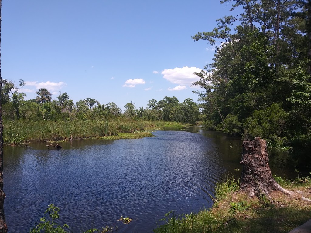 Four Creeks WMA | 56000 Dixon Tr, Callahan, FL 32011, USA | Phone: (904) 845-3597