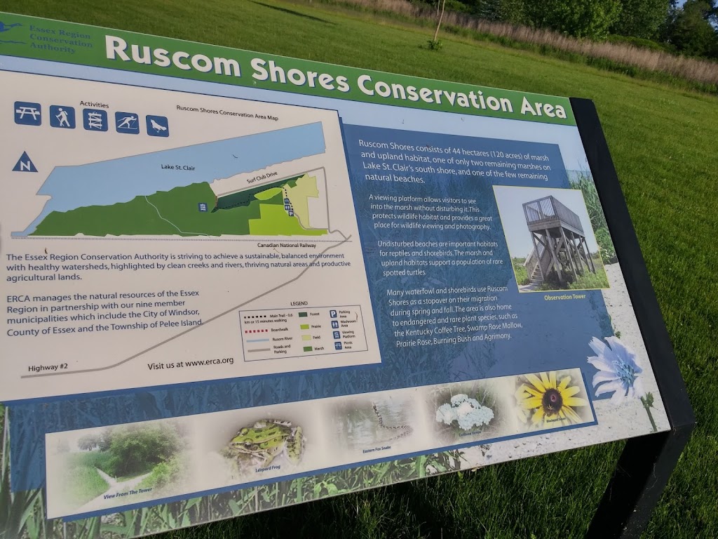 Ruscom Shores Conservation Area | Pointe aux Roches, Lakeshore, ON N0R 1S0, Canada | Phone: (519) 776-5209