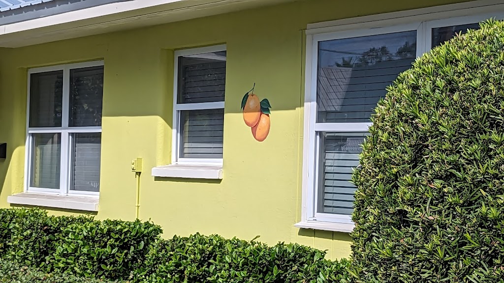 Anns Monroe St. Gallery | 234 Monroe St, Dunedin, FL 34698, USA | Phone: (727) 515-2203