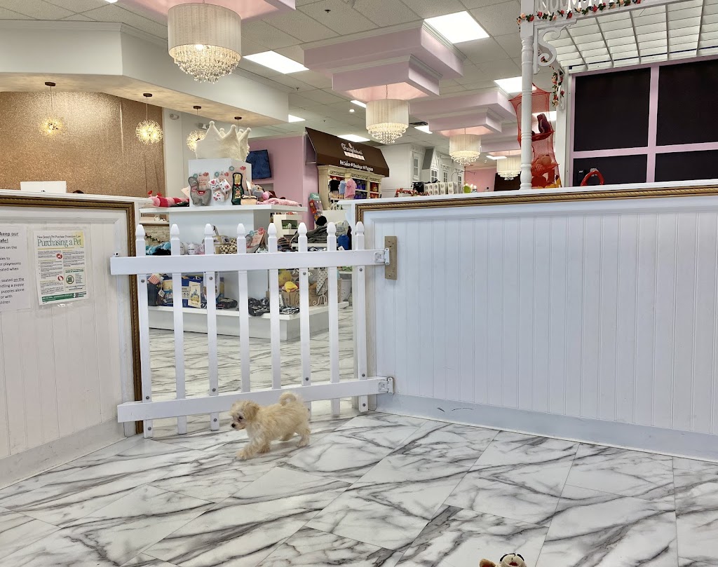 Furrylicious Puppy Boutique | 531 US-22 East, Whitehouse Station, NJ 08889, USA | Phone: (908) 747-4417