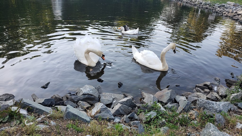 Holly Hill Memorial Park Cemetery | 401 W Holly Hill Rd, Thomasville, NC 27360, USA | Phone: (336) 472-7455