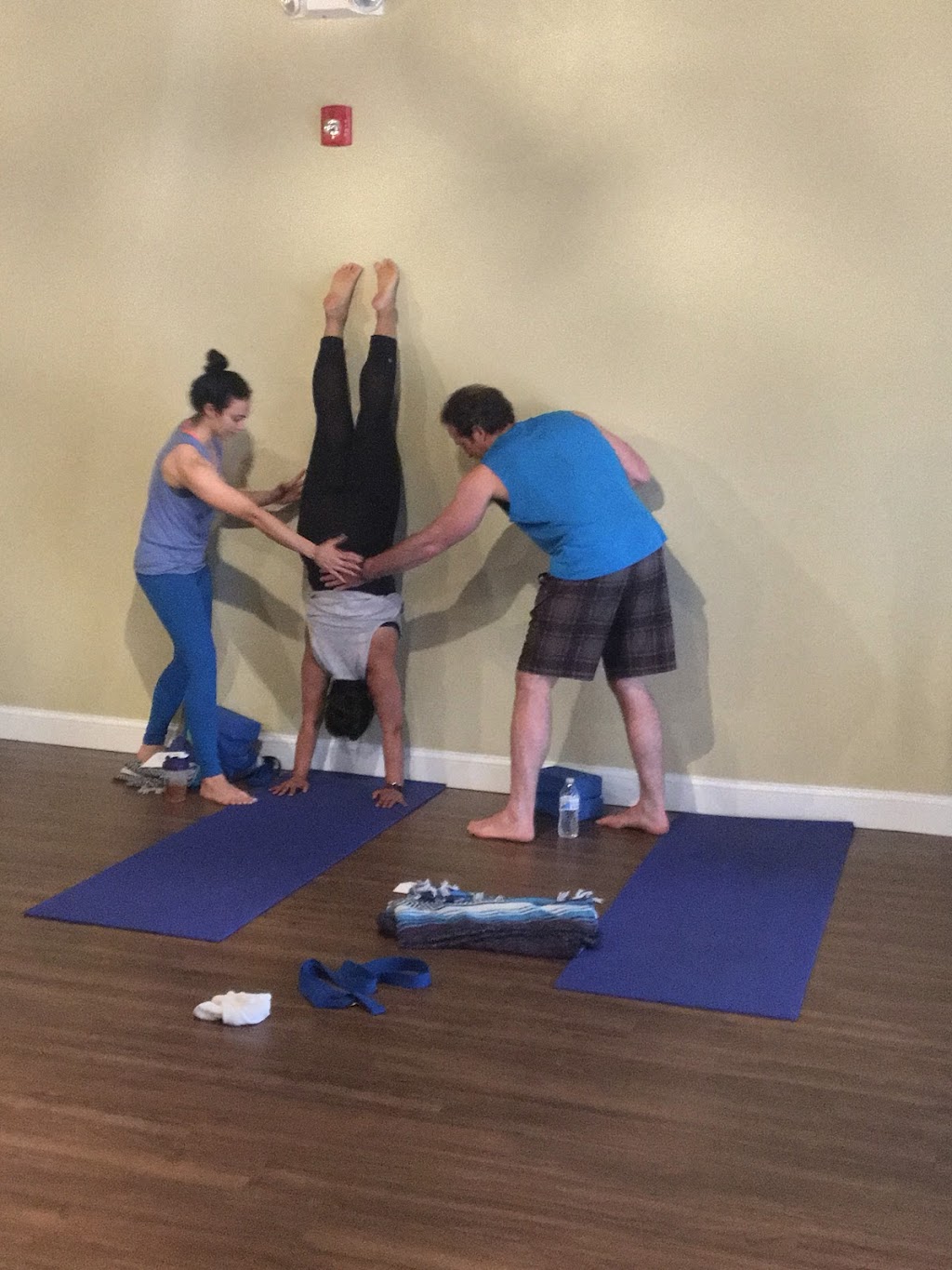 NJ Yoga Teacher Training | 351 Bloomfield Ave, Caldwell, NJ 07006, USA | Phone: (973) 241-5338