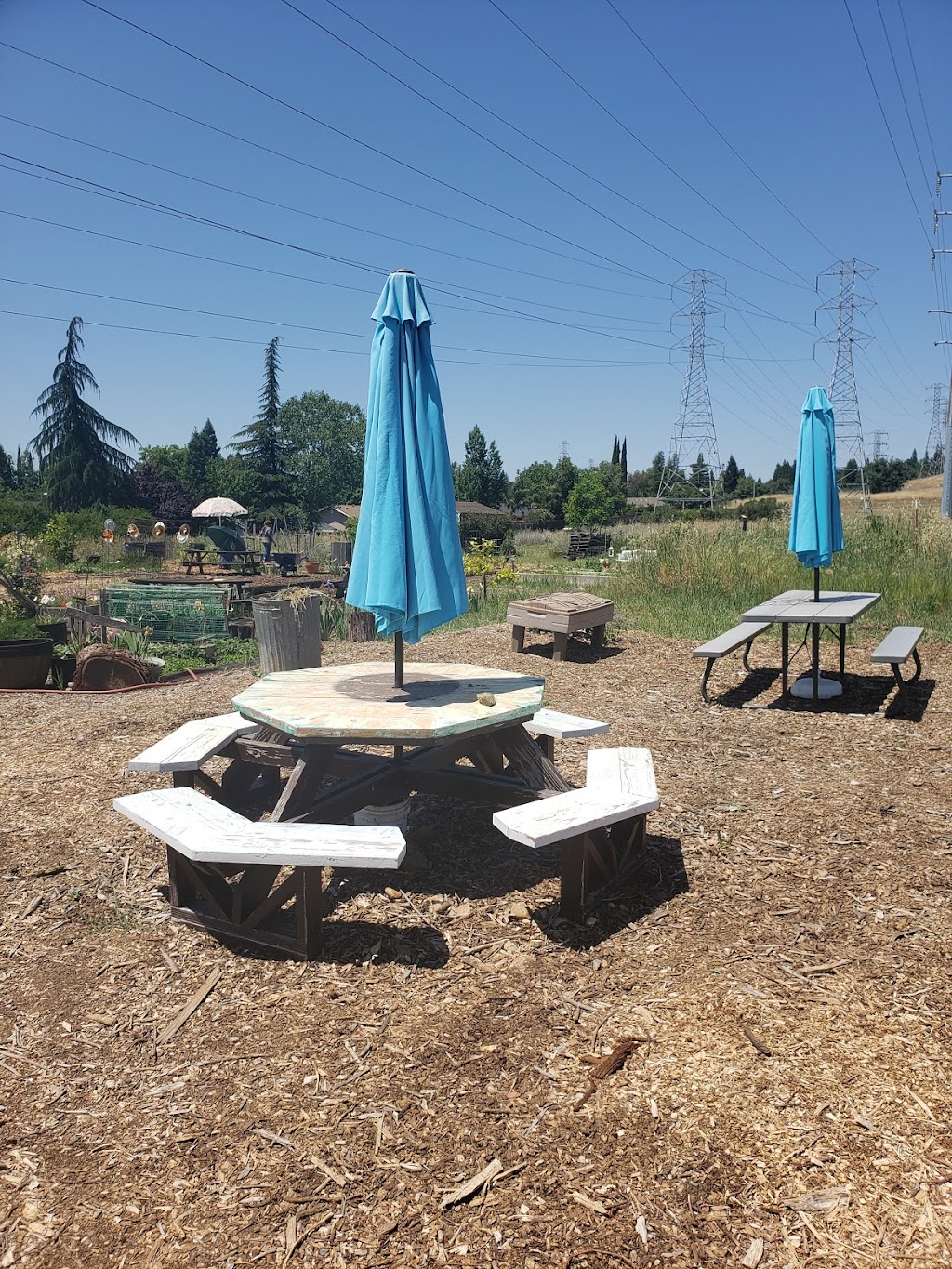 Oak Hills Community Garden | Folsom, CA 95630, USA | Phone: (916) 893-0181