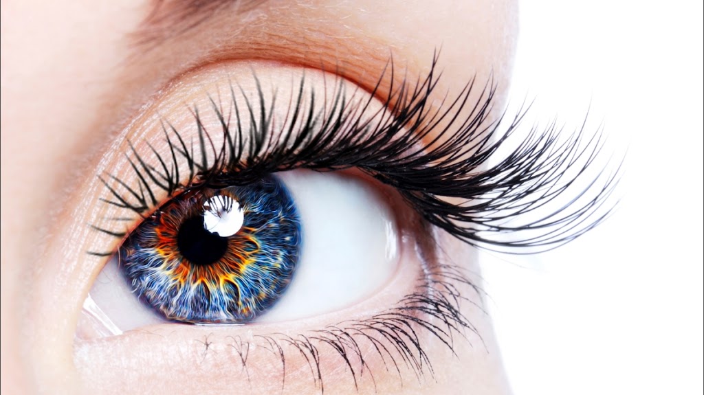 Excellence in Eye Care, LLC | 2225 Grand Cypress Dr, Lutz, FL 33559 | Phone: (813) 279-7038