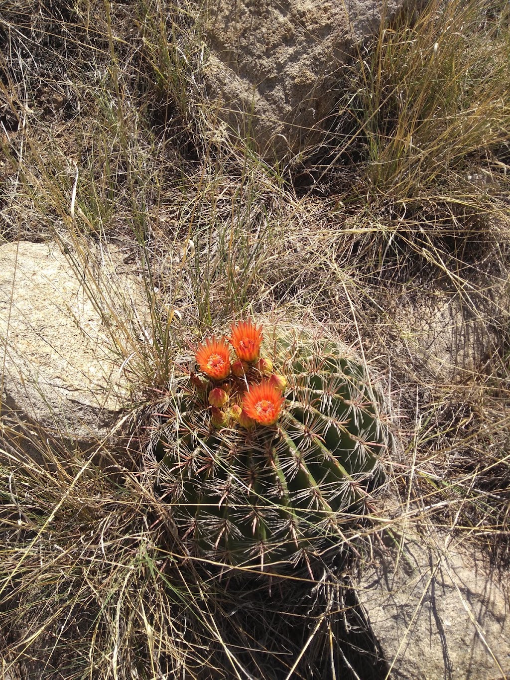 Indian Hollow Trailhead | Las Cruces, NM 88011, USA | Phone: (575) 525-4300