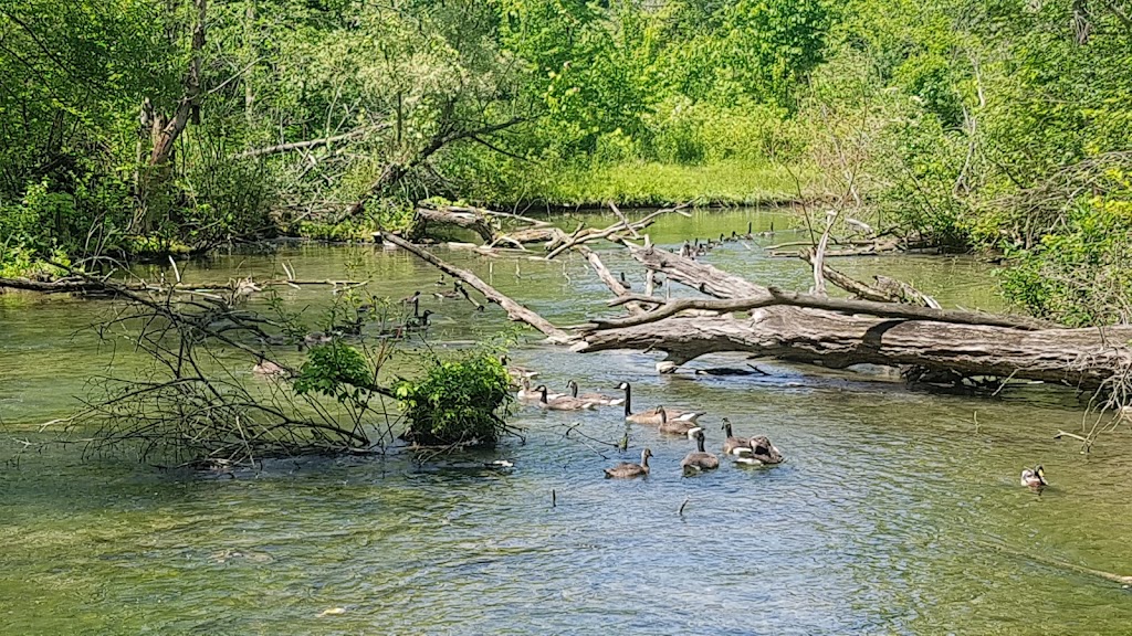 Dufferin Islands Nature Area | 6345 Dufferin Isle Rd, Allanburg, ON L0S 1A0, Canada | Phone: (877) 642-7275