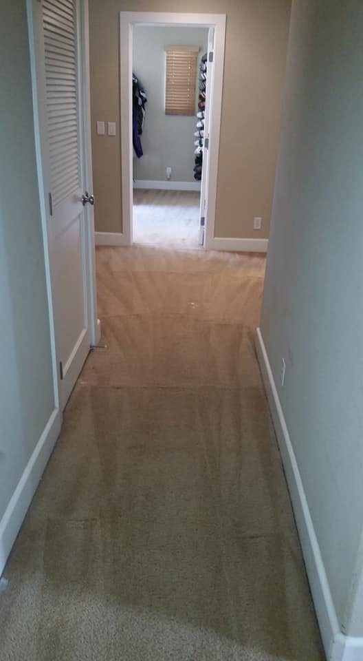 A Personal Touch Carpet Care | 874 Lakewood Dr, Sunnyvale, CA 94089, USA | Phone: (408) 605-2114