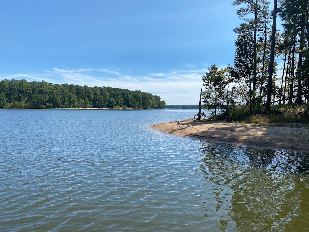 Jordan Lake State Recreation Area | 280 State Park Rd, Apex, NC 27523, USA | Phone: (919) 362-0586