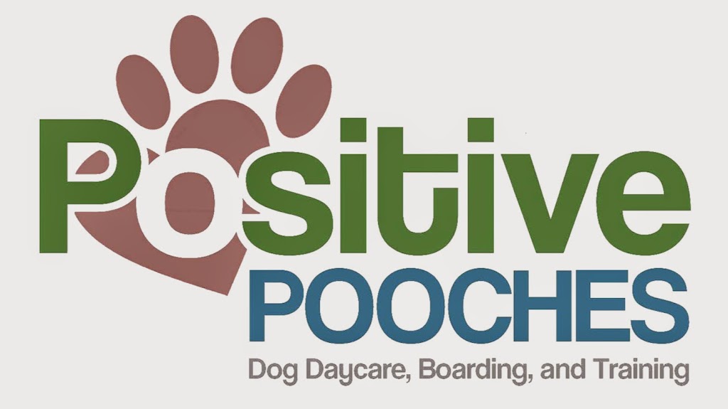 Positive Pooches | 101 Washington Blvd, Algona, WA 98001, USA | Phone: (253) 804-9400