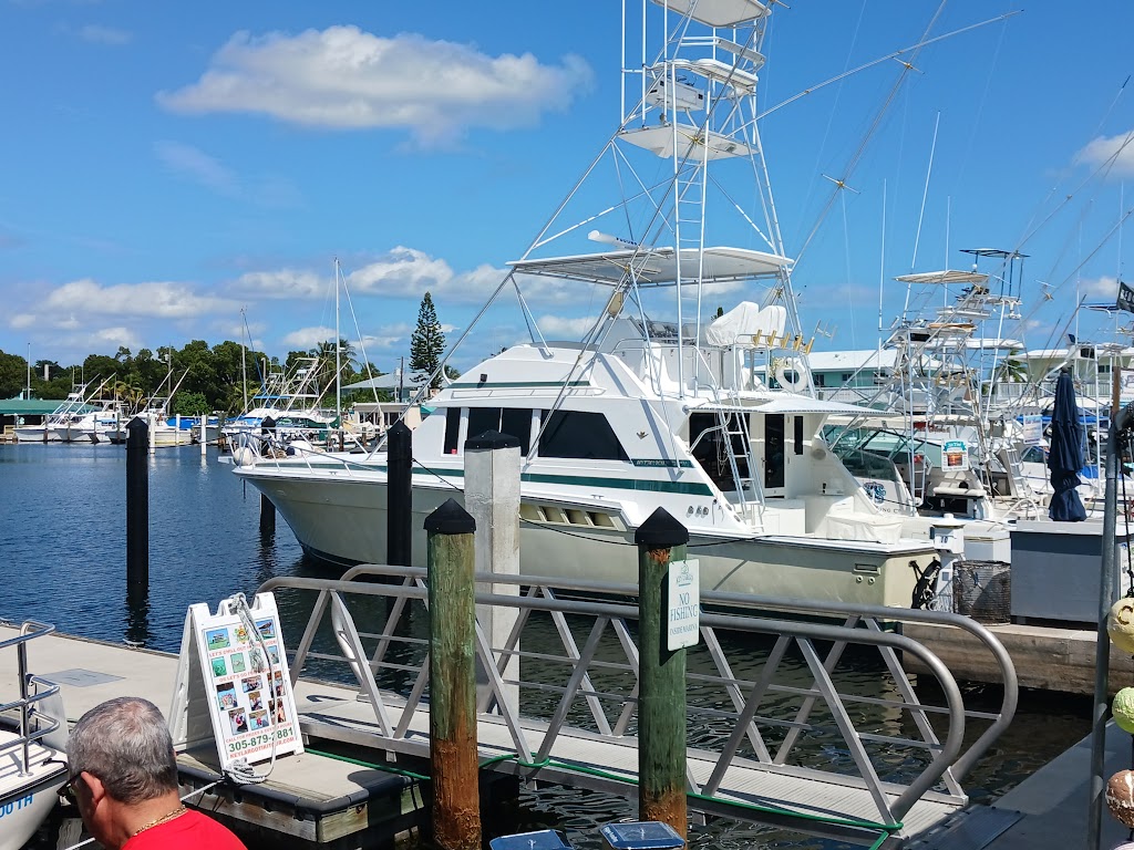 Key Largo Fisheries Backyard Cafe | 1313 Ocean Bay Dr Suite A, Key Largo, FL 33037, USA | Phone: (305) 451-3784