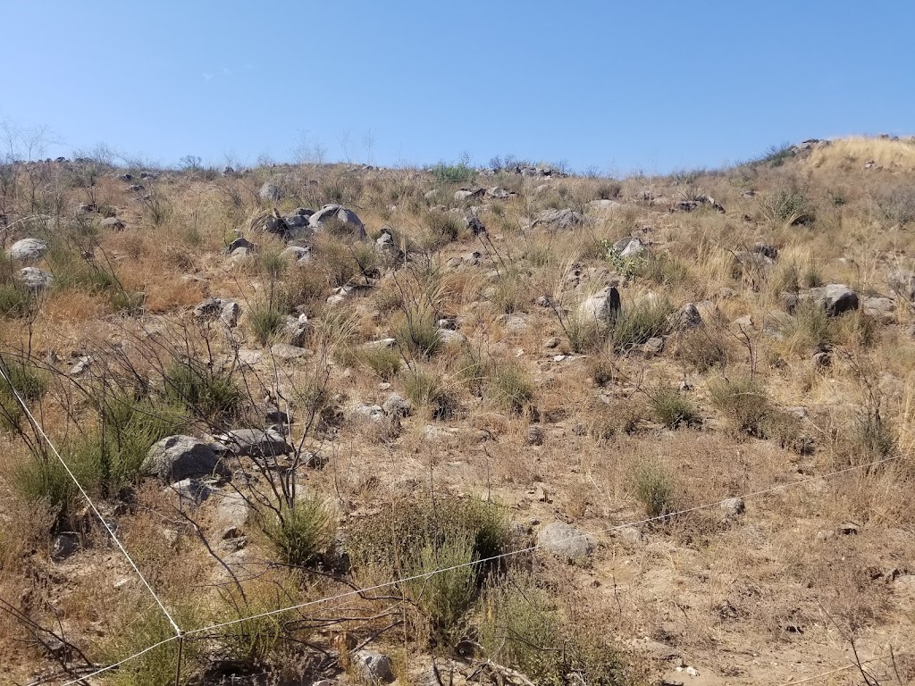 Terrenos Campestres | 21503 Tecate, Baja California, Mexico | Phone: 664 767 7105