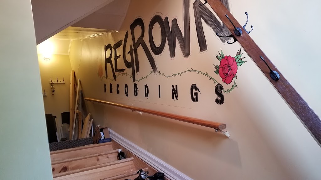 Regrown Recordings | 1061 Hayes St, Baldwin, NY 11510 | Phone: (516) 404-4068