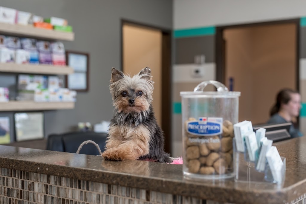 The Pet Hospitals Germantown | 9947 Wolf River Blvd #104, Germantown, TN 38139, USA | Phone: (901) 850-7330