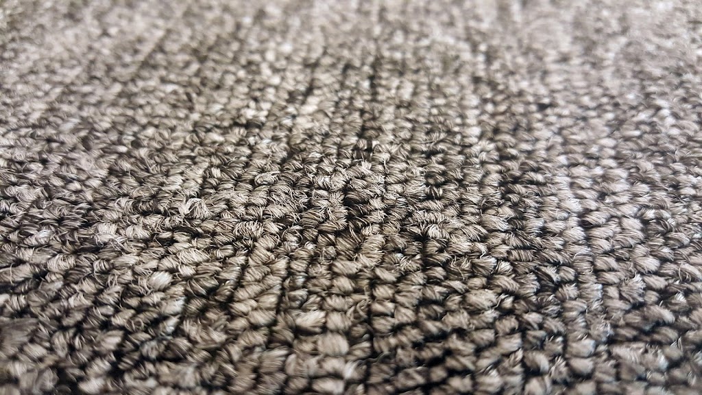 Carpet Cleaning El Cajon | El Cajon, CA 92020, USA | Phone: (619) 383-1490