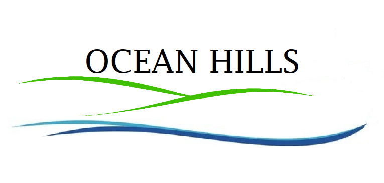 OCEAN HILLS PLUMBING INC. | 200 S Emerald Dr SPC 81, Vista, CA 92081, USA | Phone: (760) 458-5112