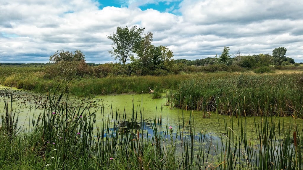 Sandhill Station Campground | N5584 Mud Lake Rd, Lake Mills, WI 53551, USA | Phone: (920) 648-8774