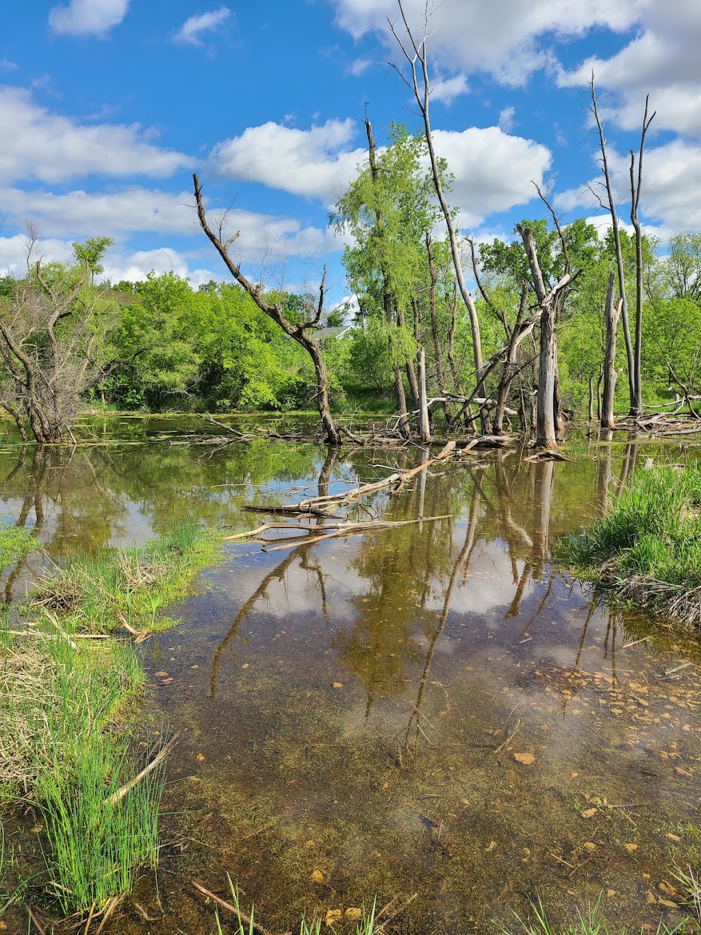 Quarry Ridge Recreation Area | 2740 Fitchrona Rd, Fitchburg, WI 53711 | Phone: (608) 270-4285