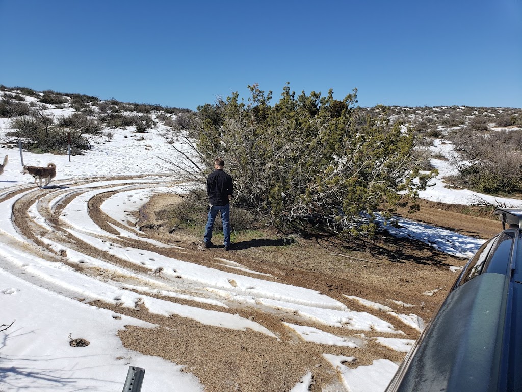 Wilson Peak Trailhead | Unnamed Road, Ranchita, CA 92066, USA | Phone: (760) 767-4037