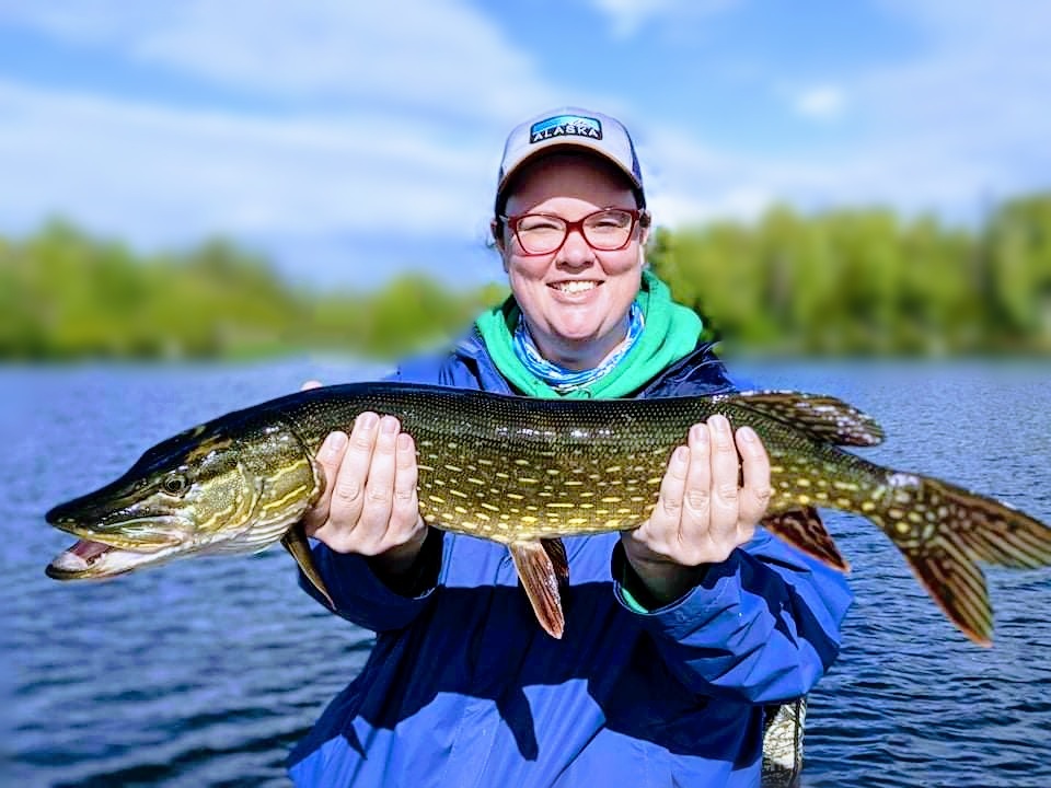 Big Lake South State Recreation Site | 4678 S Big Lake Rd, Wasilla, AK 99654, USA | Phone: (907) 269-8400