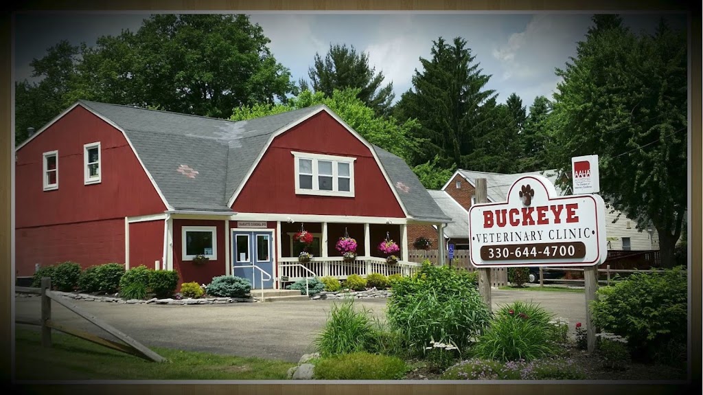 Buckeye Veterinary Clinic | 3592 Manchester Rd, Akron, OH 44319, USA | Phone: (330) 644-4700