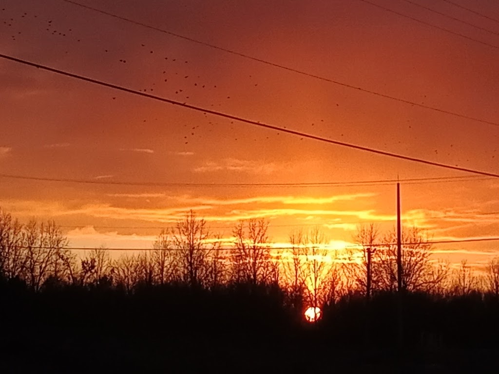 Liberty Inn | 10650 Market St, North Lima, OH 44452, USA | Phone: (330) 549-3988