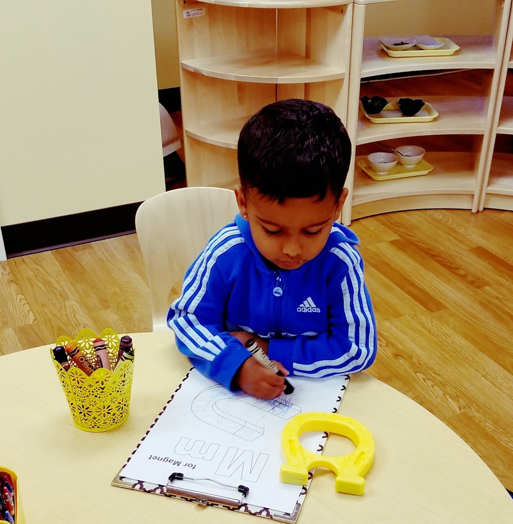 Stellar Montessori Academy | Stellar Montessori Academy, 2015 Richards Rd, Bellevue, WA 98005, USA | Phone: (425) 445-4428