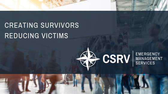 CSRV Consulting | 4045 E Union Hills Dr, Phoenix, AZ 85050 | Phone: (602) 699-5575