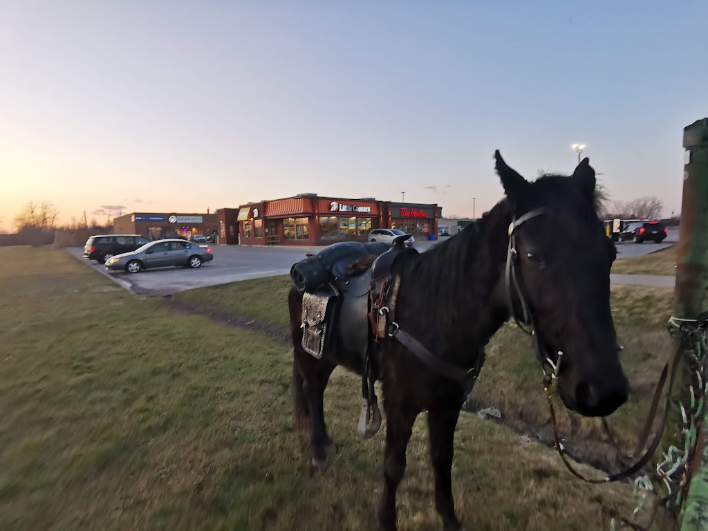 Little Caesars Pizza | 287 West Side Rd, Port Colborne, ON L3K 5L2, Canada | Phone: (905) 835-7765