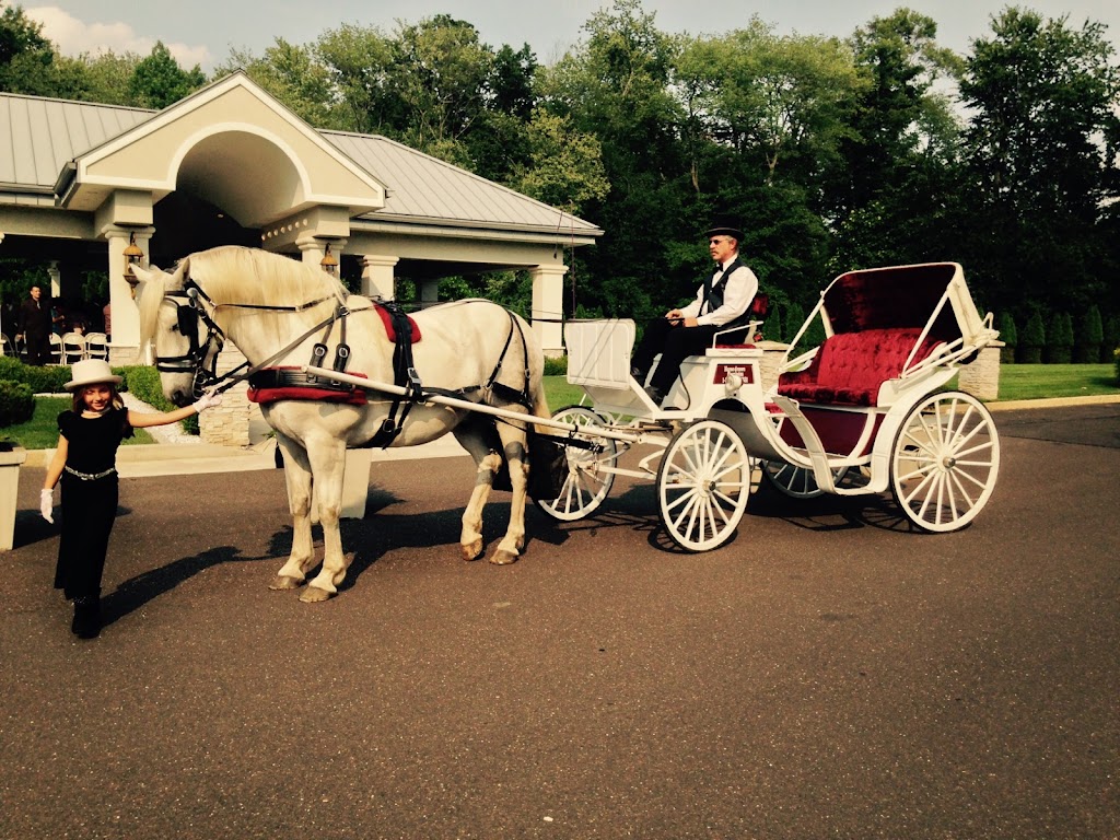 New Freedom Horse Drawn Carriages, LLC | 108 New Freedom Rd, Monroeville, NJ 08343, USA | Phone: (856) 358-6331