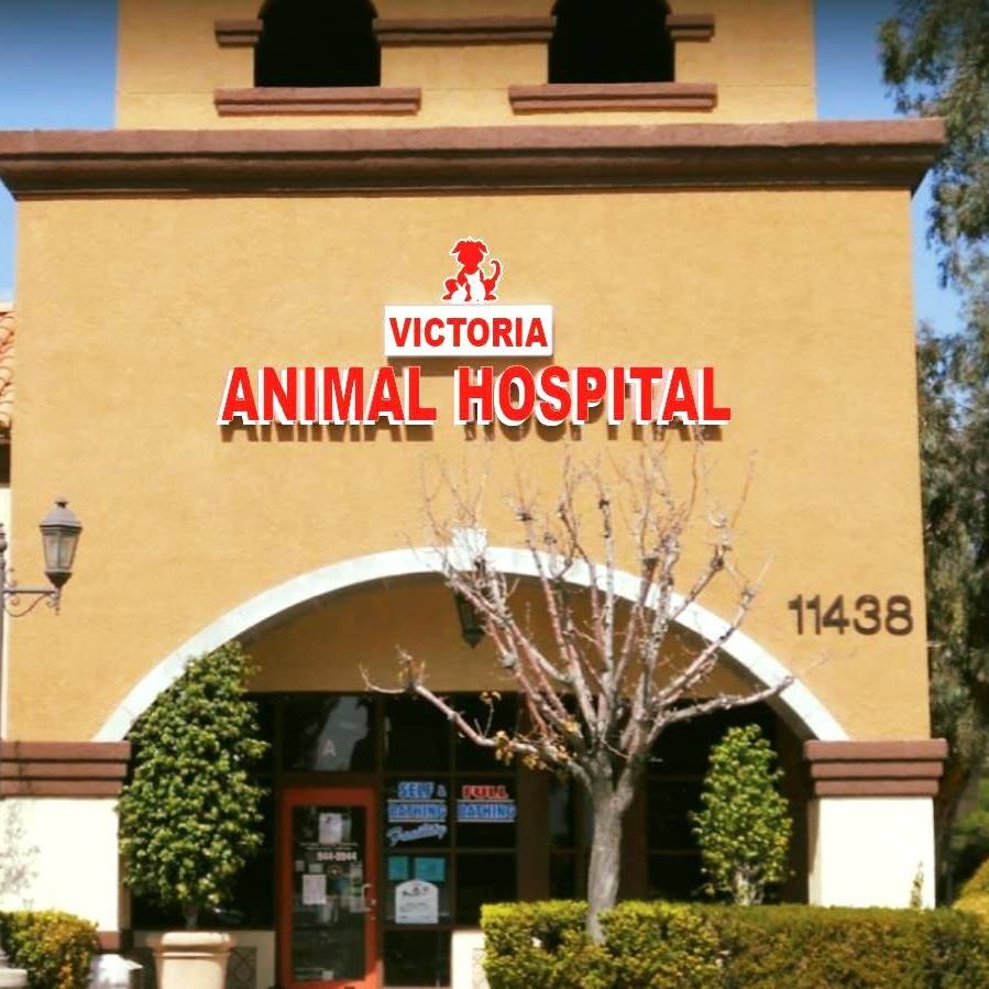 Victoria Animal Hospital | 11438 Kenyon Way #A, Rancho Cucamonga, CA 91701, USA | Phone: (909) 944-8944