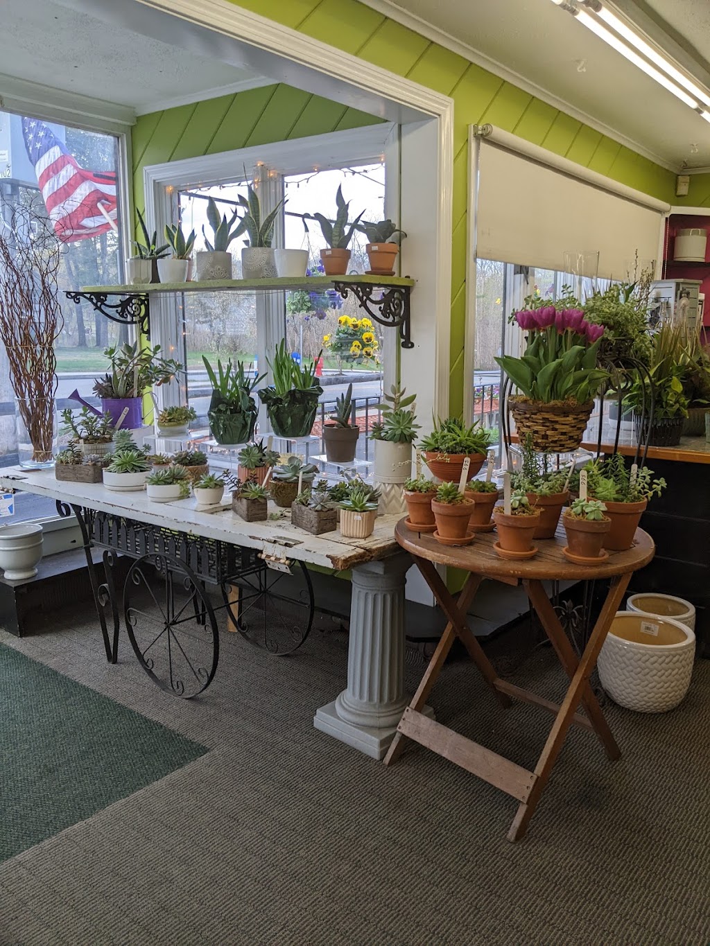 Hollands Flowers | 577 S Main St, Haverhill, MA 01835, USA | Phone: (978) 373-1700