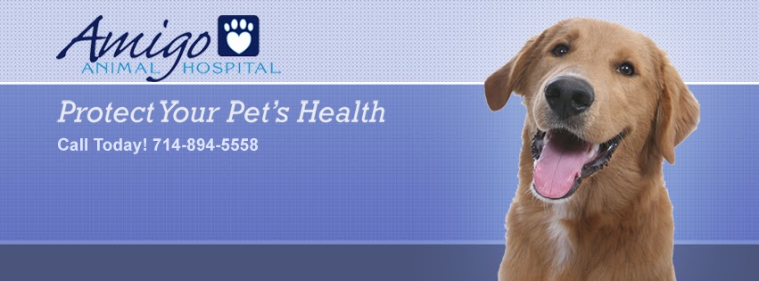 Amigo Animal Hospital | 13951 Milan St, Westminster, CA 92683, USA | Phone: (714) 894-5558