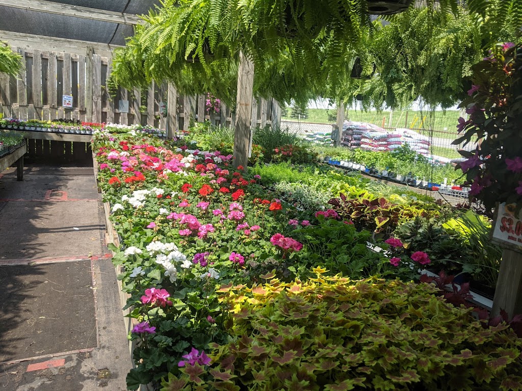 Gallaghers Farm Market | 346 Hwy 20 W, Fenwick, ON L0S 1C0, Canada | Phone: (905) 892-0698