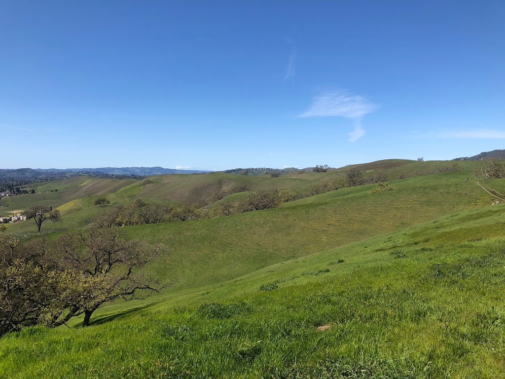 Sycamore Valley Open Space Preserve | 1904 Camino Tassajara, Danville, CA 94526, USA | Phone: (888) 327-2757