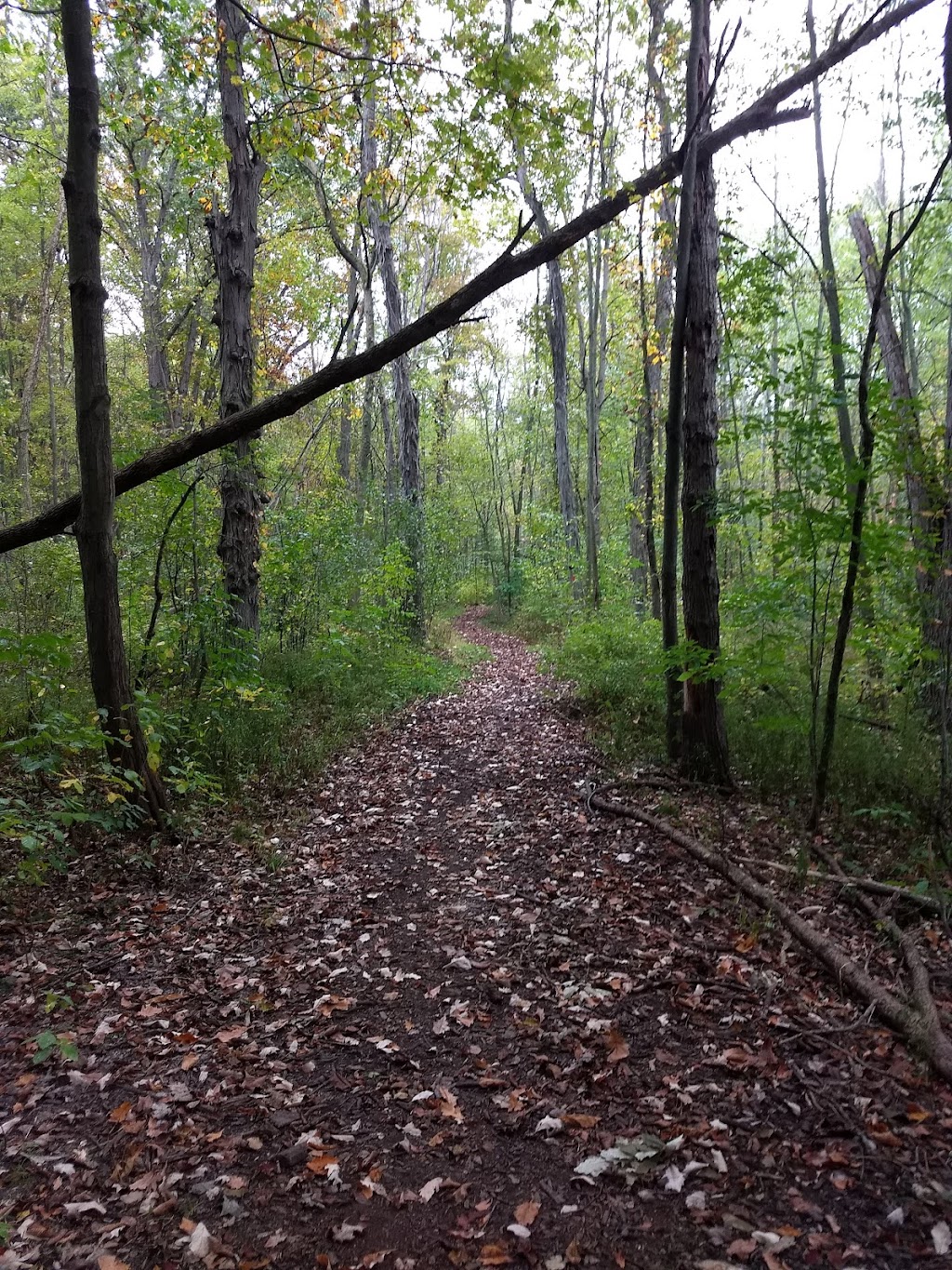 A.C.C. Moebius Nature Center | 929 E Mennonite Rd, Aurora, OH 44202, USA | Phone: (216) 402-4361