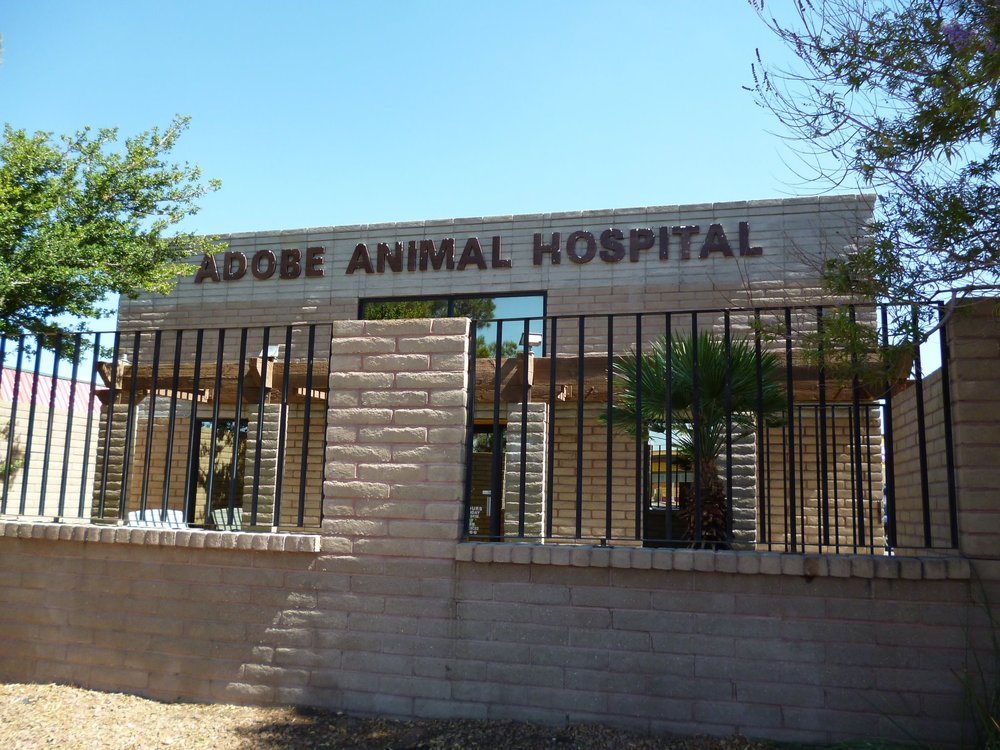 Adobe Animal Hospital and Veterinary Clinic | 3140 Trawood Dr, El Paso, TX 79936, USA | Phone: (915) 855-6966