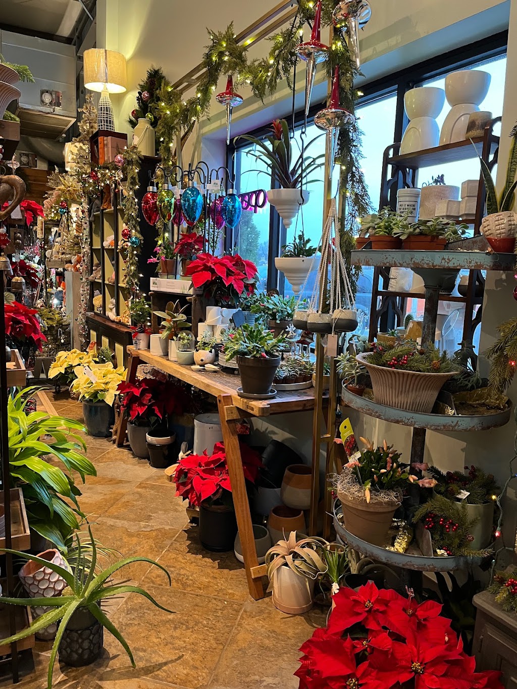 The Fiddly Fig Florist | 9716 Holmes Rd, Kansas City, MO 64131, USA | Phone: (816) 363-4313