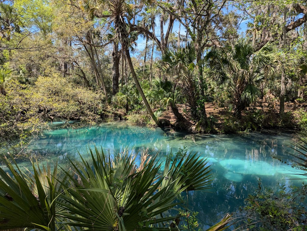 Juniper Springs Recreation Swimming Area, Marion County, FL | 26701 FL-40, Astor, FL 32102, USA | Phone: (352) 625-3147