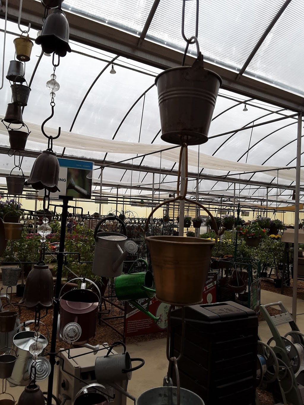 Whites Nursery & Garden Center | 3133 Old Mill Rd, Chesapeake, VA 23323 | Phone: (757) 487-2300