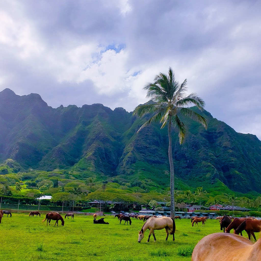 Kualoa Ranch | 49-560 Kamehameha Hwy, Kaneohe, HI 96744, USA | Phone: (808) 237-7321