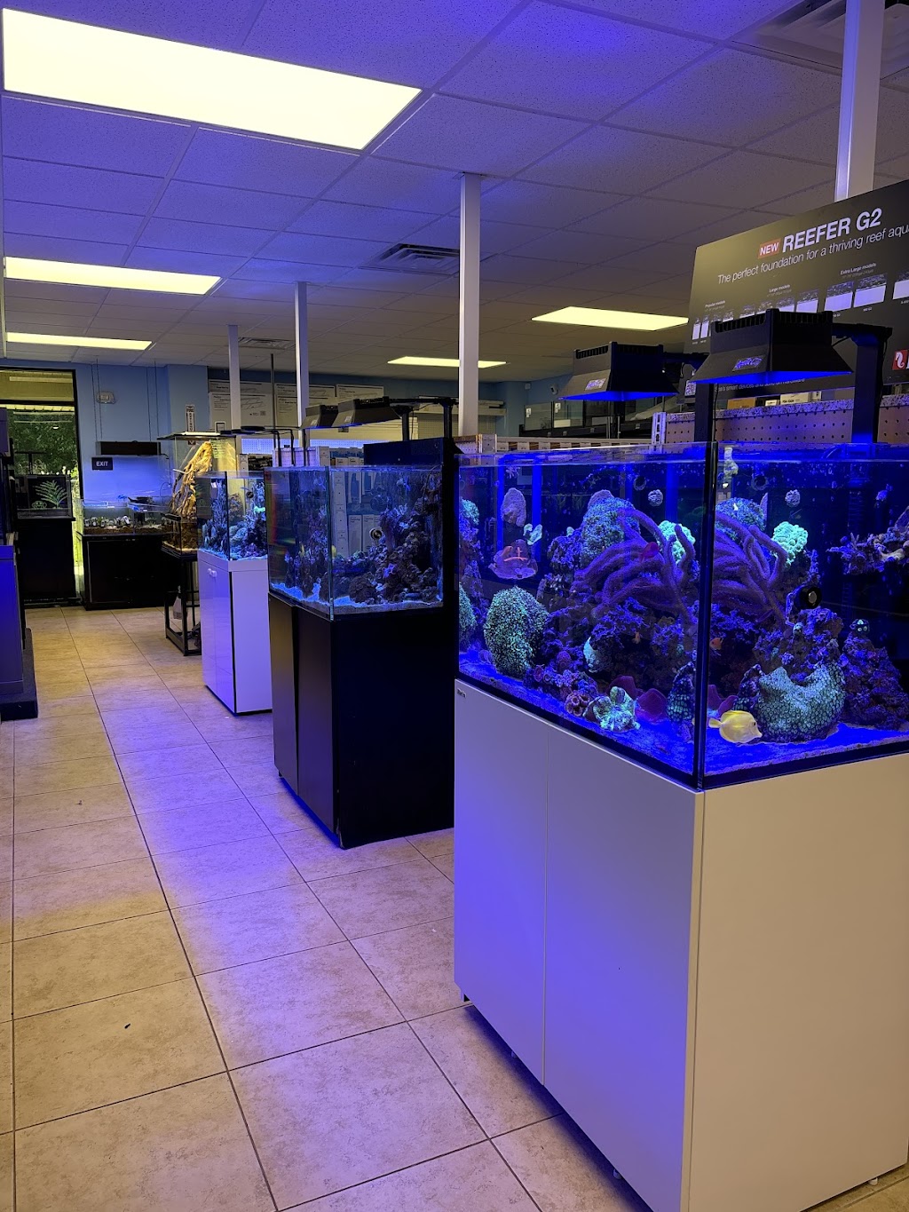 Aquatic City Aquariums | 8970 103rd St Unit 7, Jacksonville, FL 32210, USA | Phone: (904) 374-4492