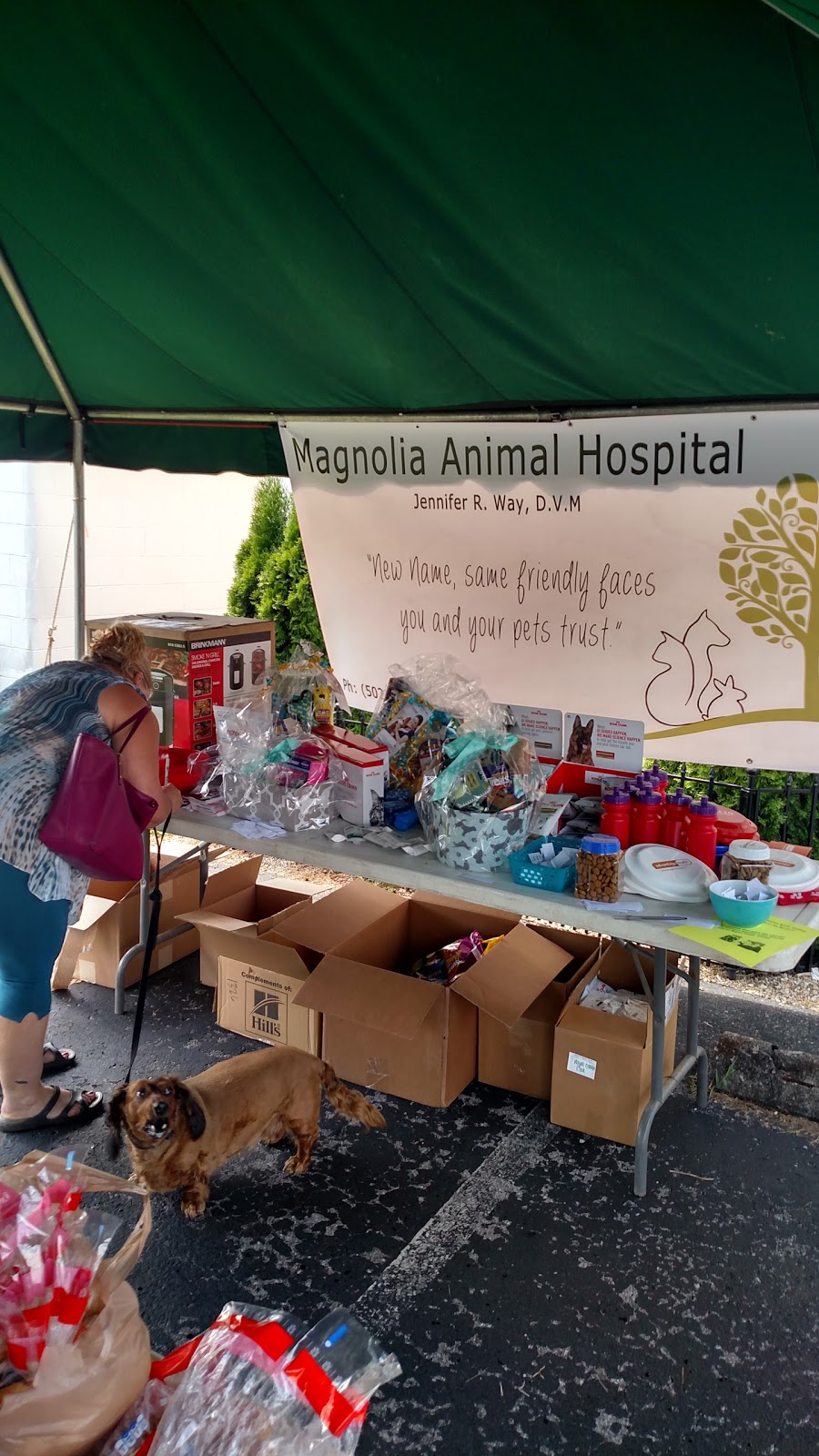 Magnolia Animal Hospital | 2398 Shelbyville Rd, Shelbyville, KY 40065, USA | Phone: (502) 633-3512