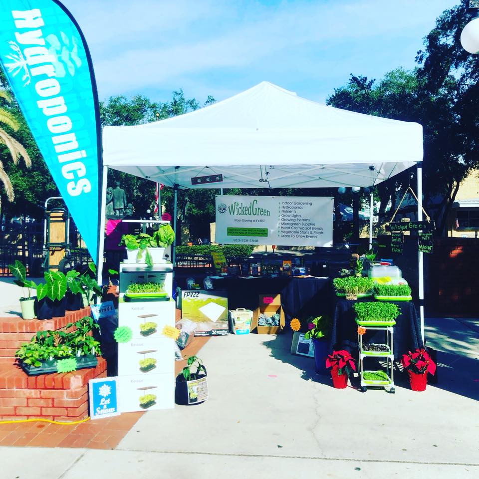 Wicked Green LLC | 16447 US Hwy 41, Spring Hill, FL 34610, USA | Phone: (813) 528-5848