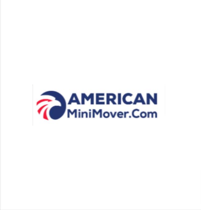 American Mini Movers Inc | 520 N Michigan Ave #28, Chicago, IL 60611, United States | Phone: (773) 395-1355